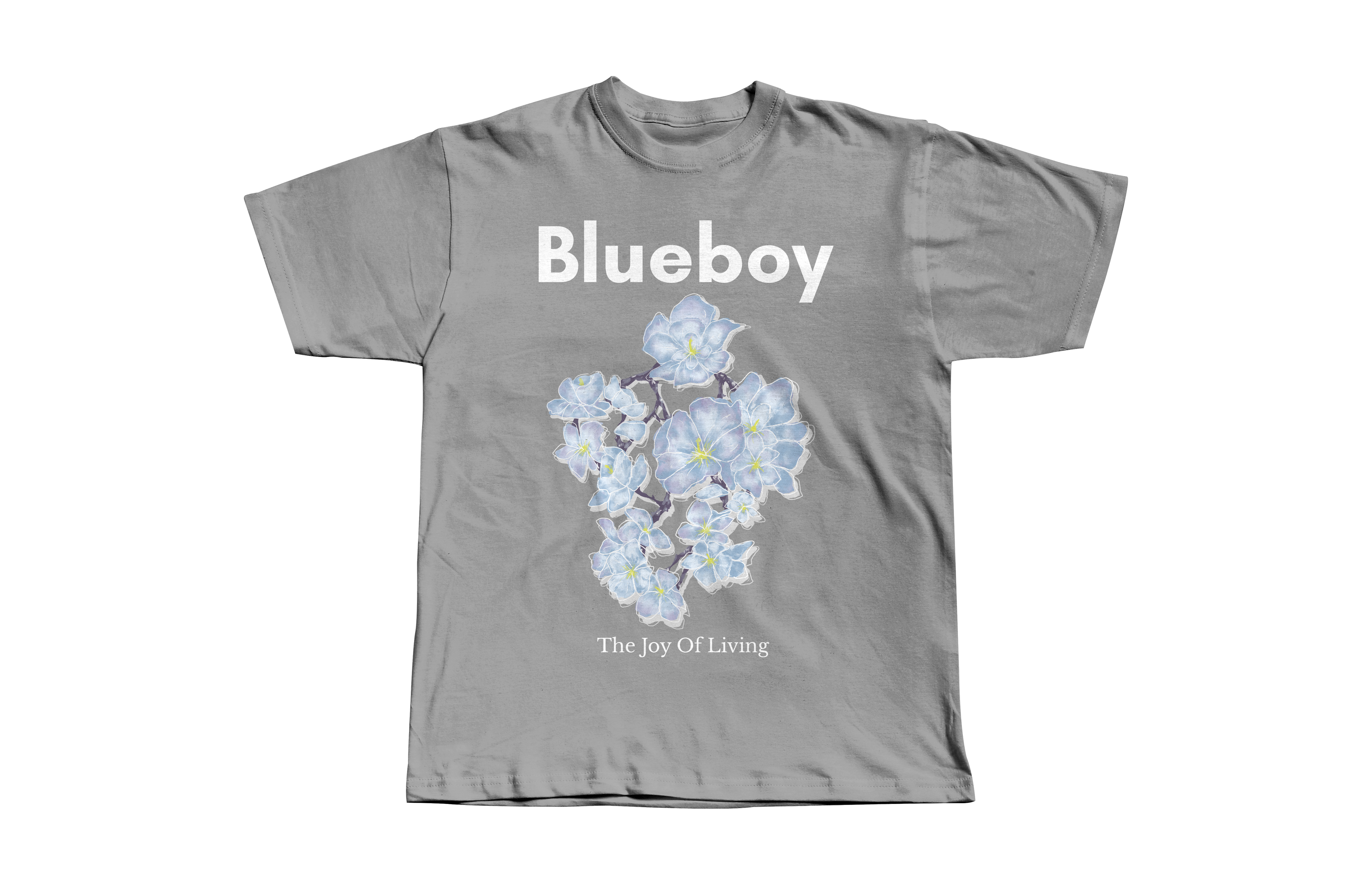 Blueboy - The Joy of Living (Dark Grey)